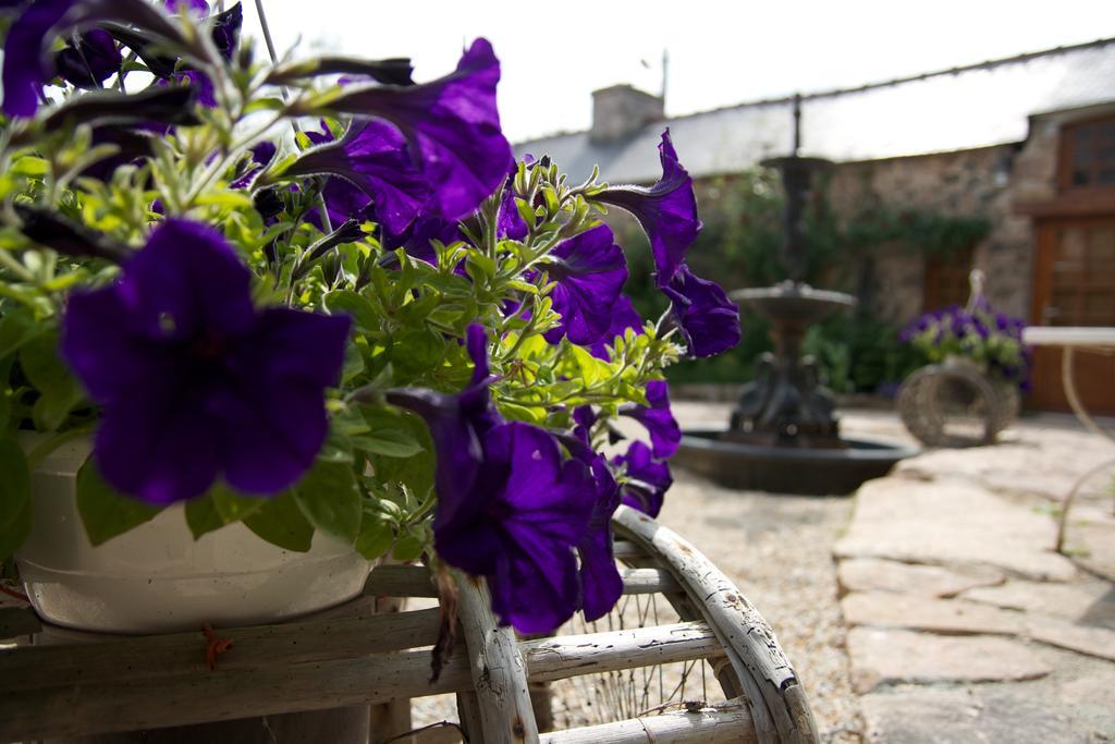 Bed and Breakfast Relais Saint Aubin Erquy Zewnętrze zdjęcie